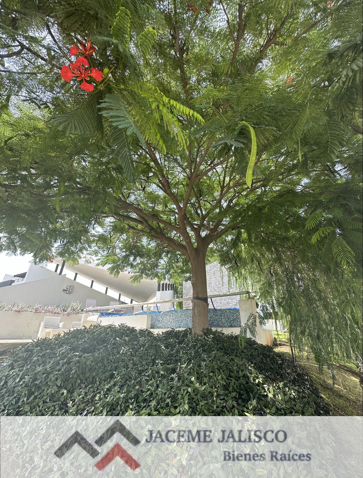 12 de 16
