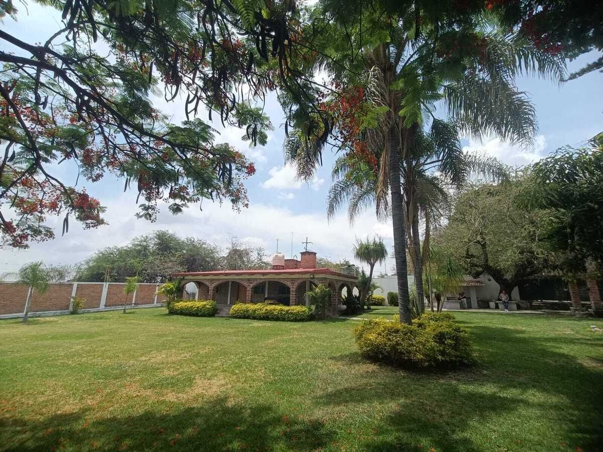 2 de 16