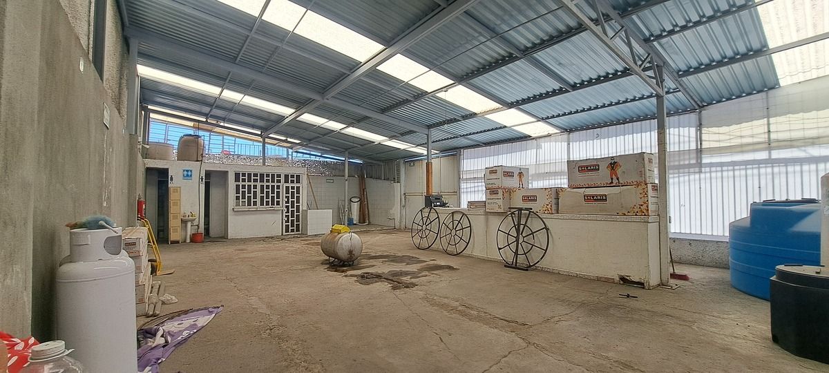 8 de 8