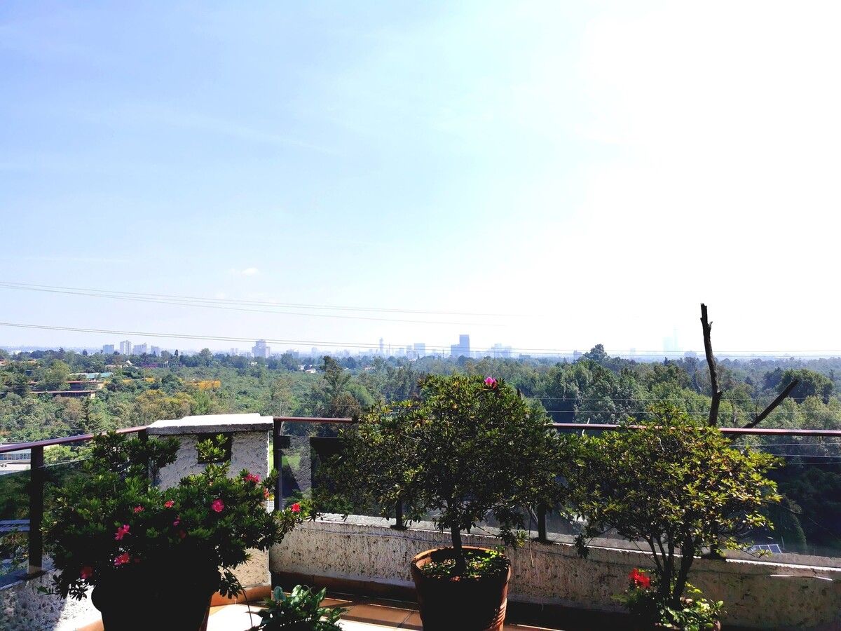16 de 16: Casa en Venta en Jardines del Pedregal Rayo Vende ®