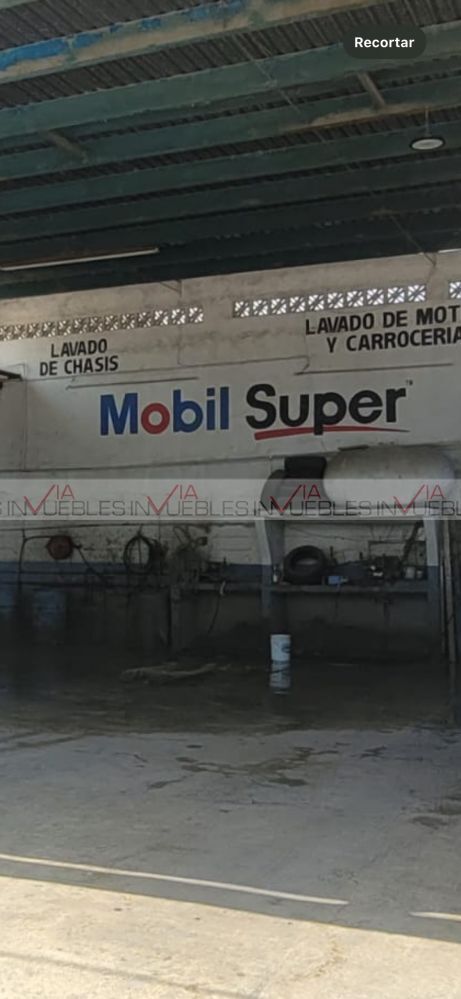 7 de 8