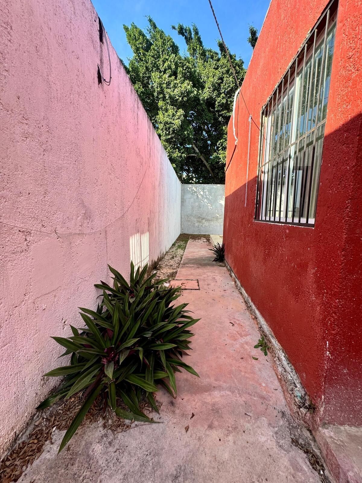 9 de 15