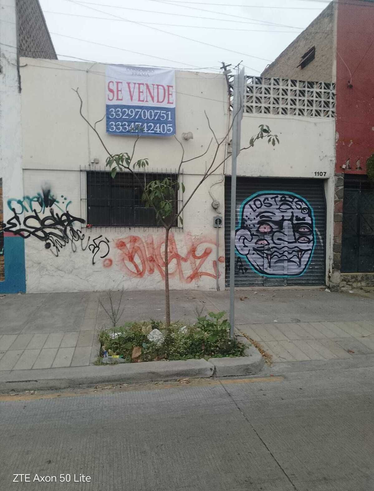 3 of 13