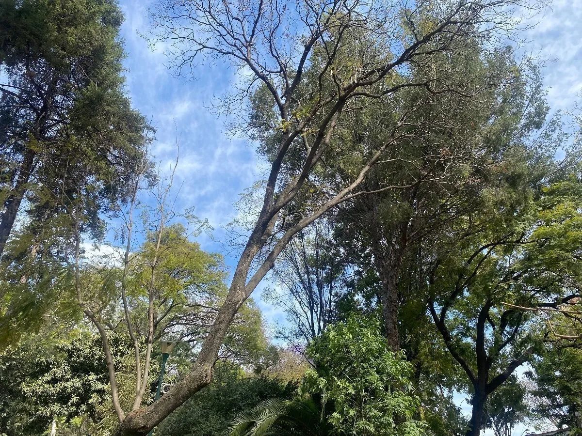 12 de 15