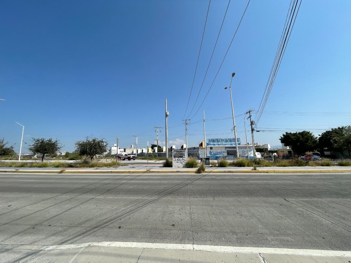 12 de 16
