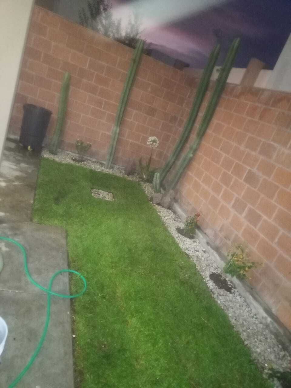 2 de 15