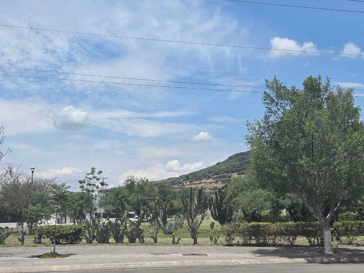 17 de 20