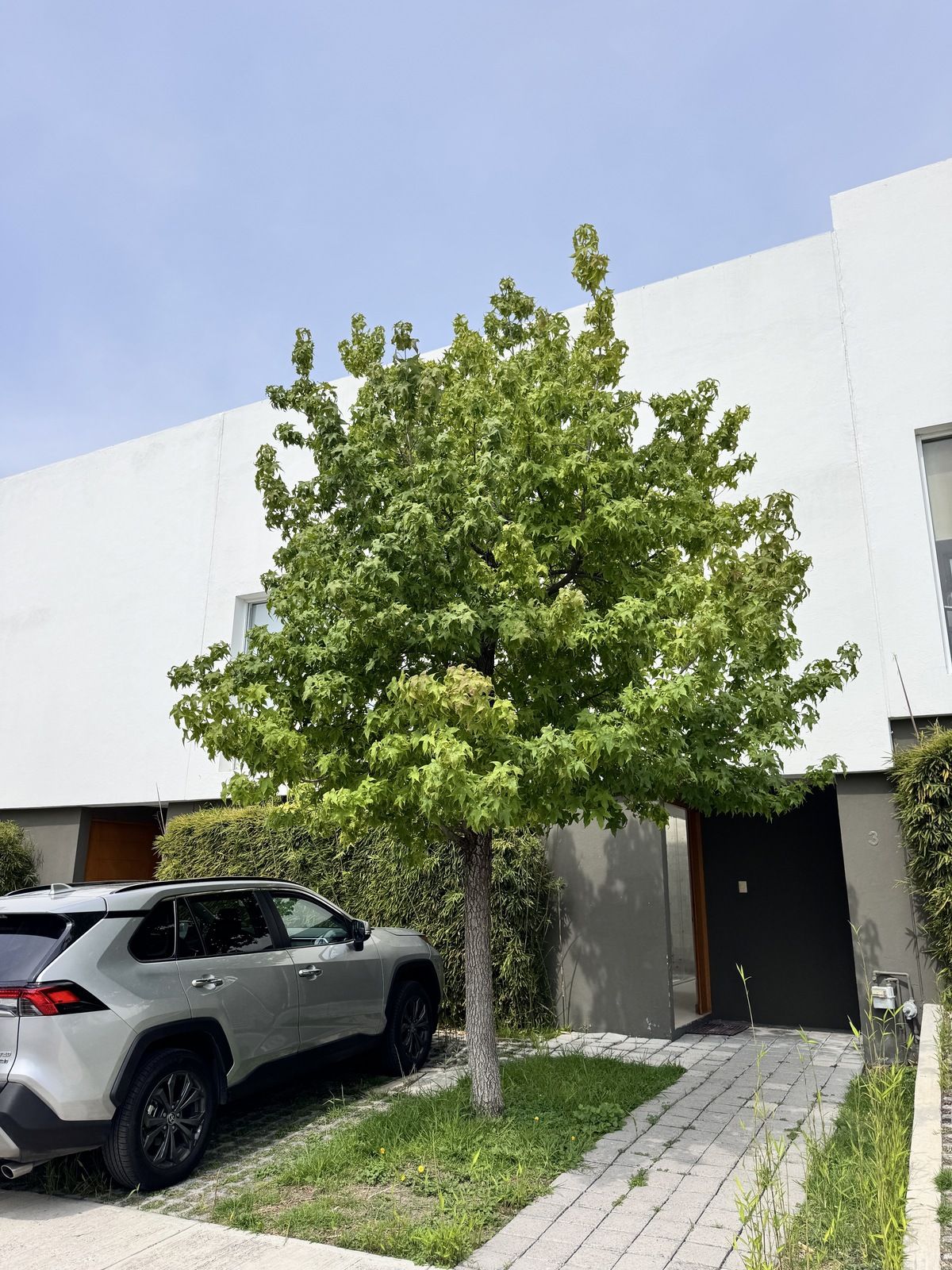 37 de 39: FACHADA