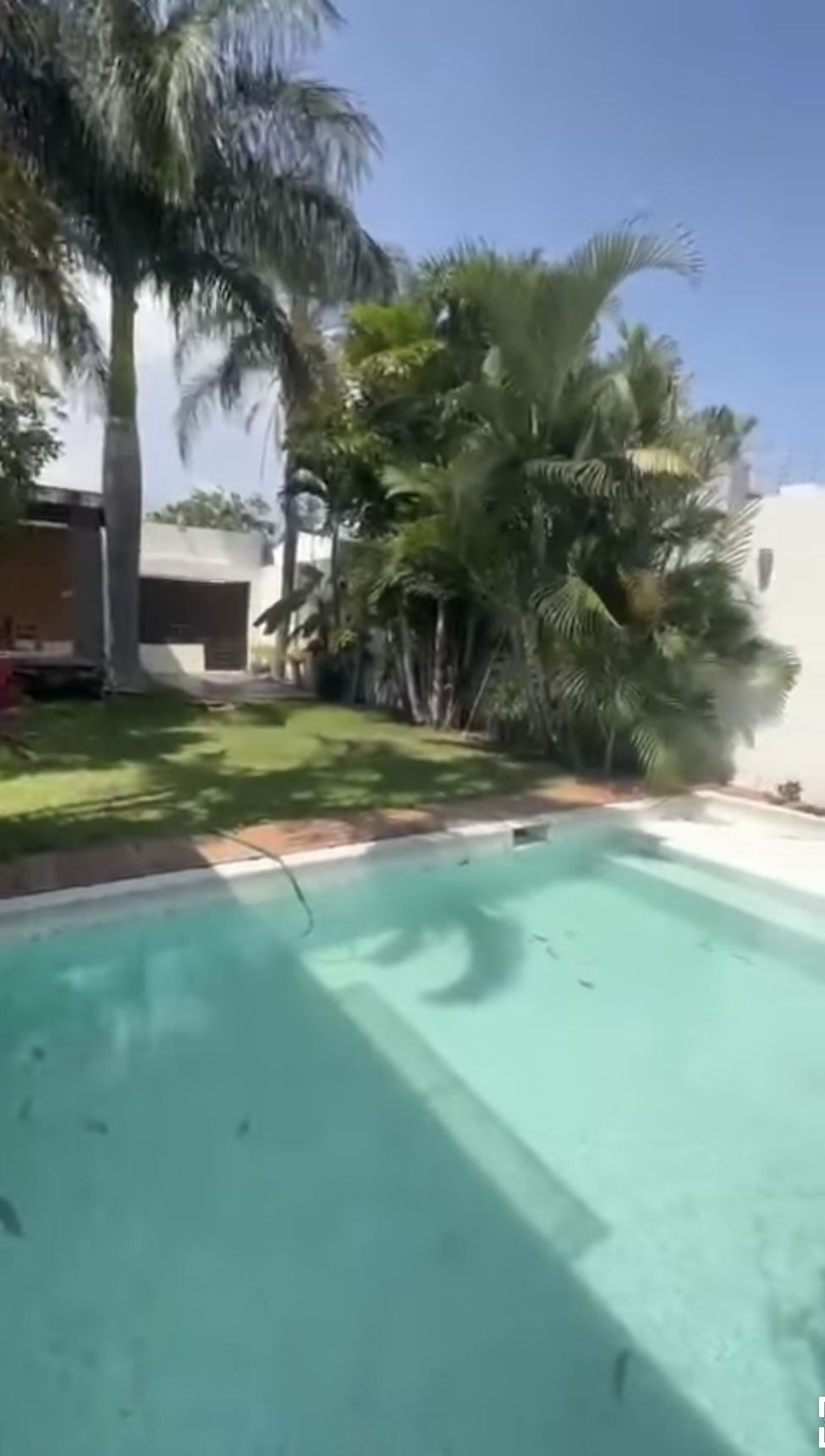 2 de 12