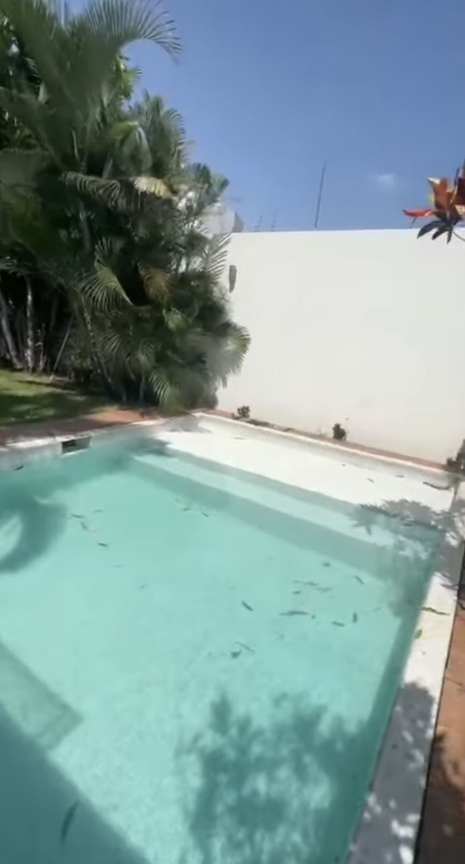 3 de 12