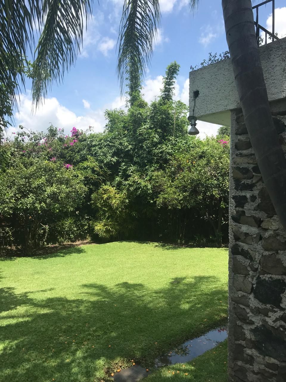 17 de 43