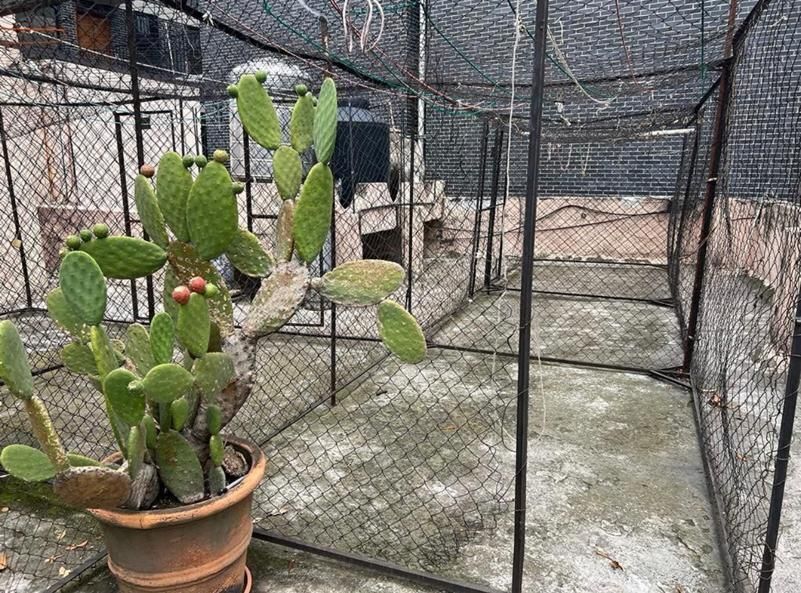 27 de 31