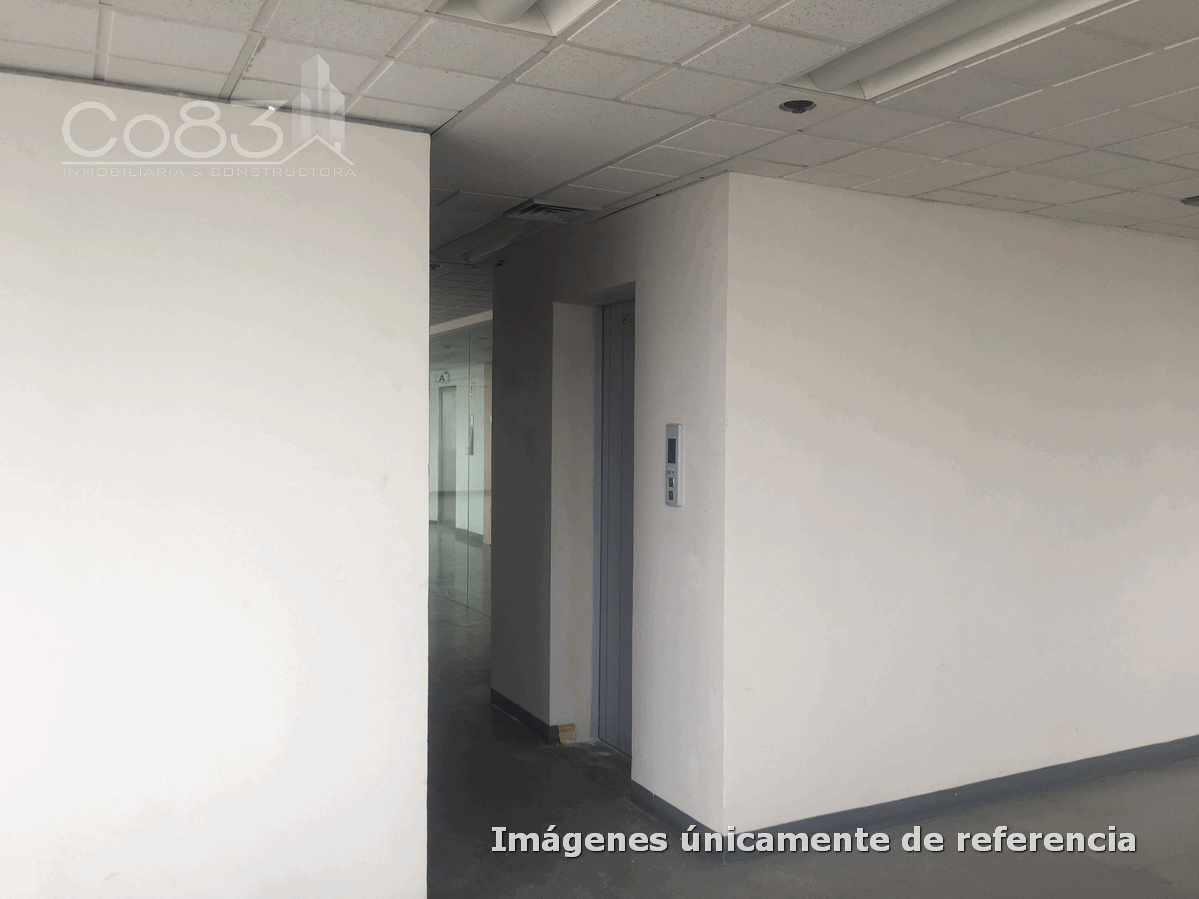 5 de 15