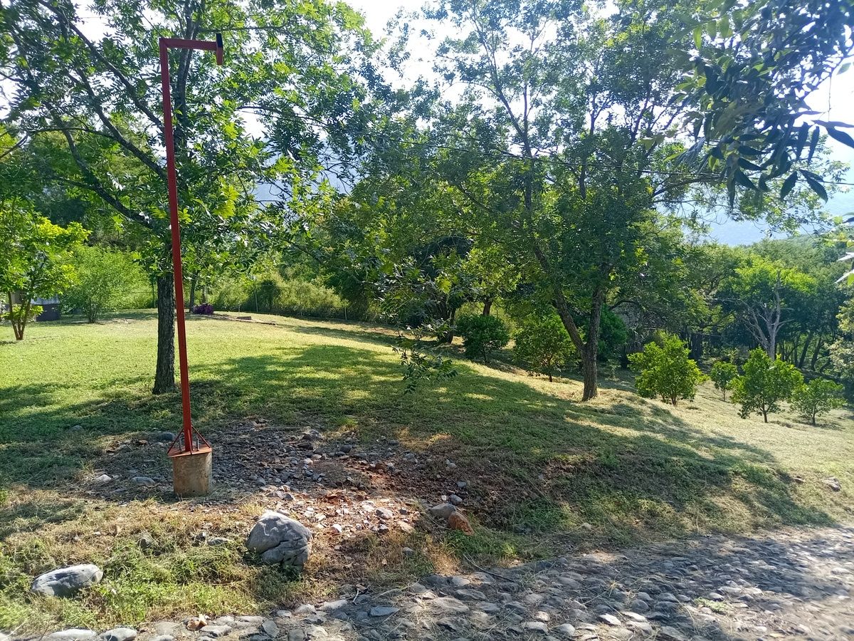 2 de 14