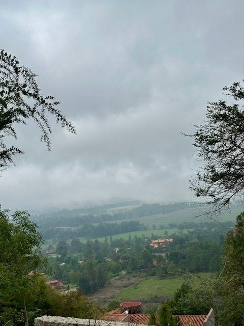 4 de 13
