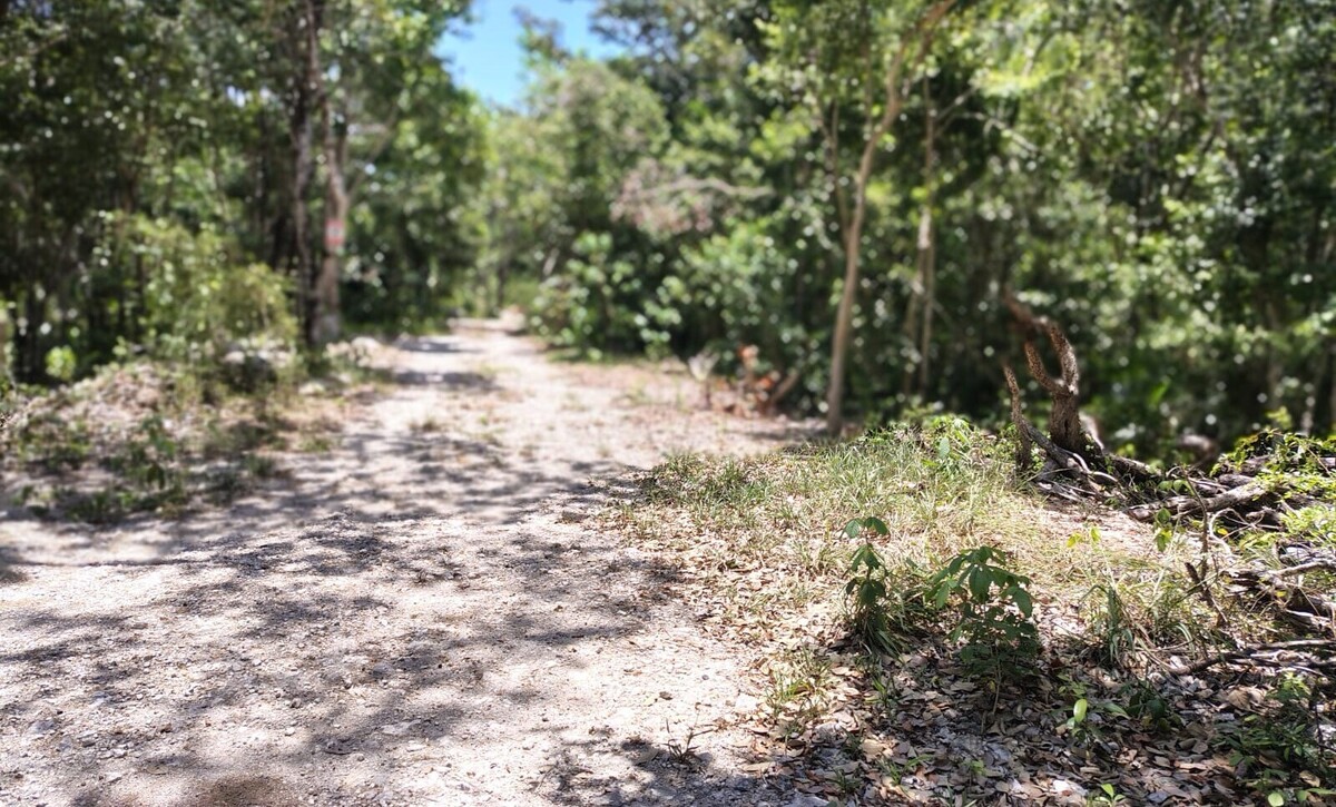 1 de 5