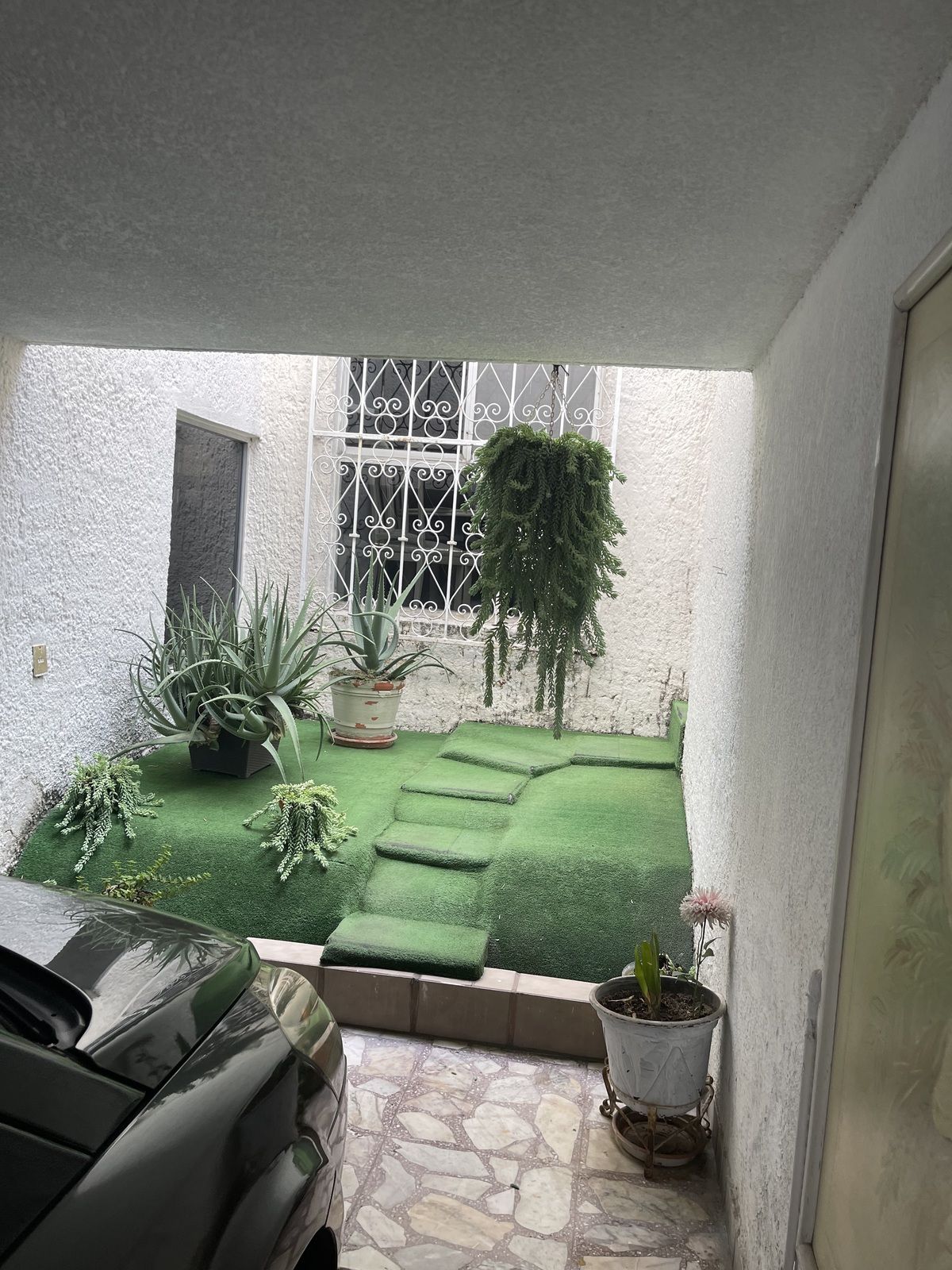 2 of 23: Jardín ornato a la entrada