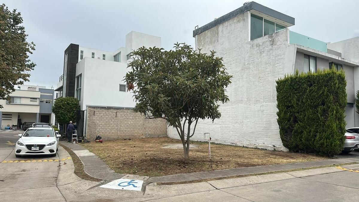 2 de 8