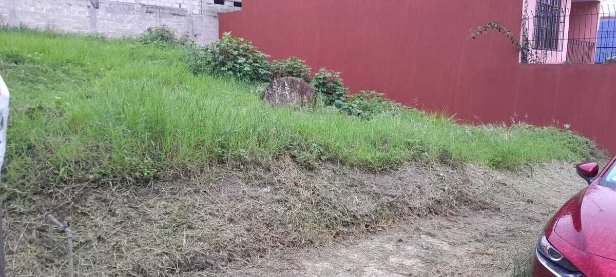 5 de 10