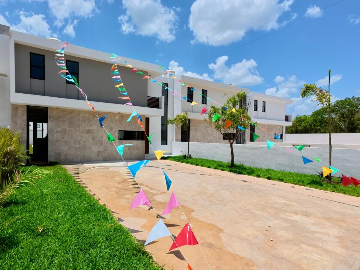 19 de 24