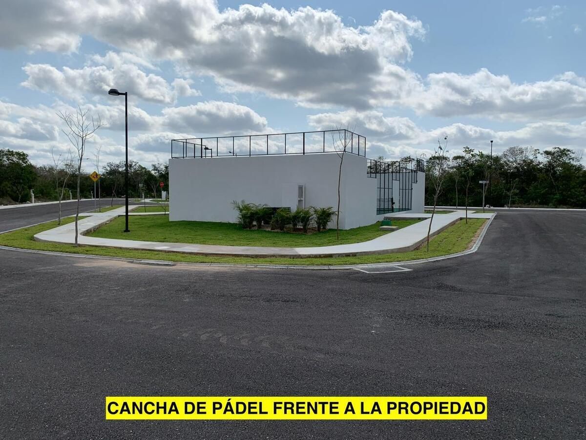 13 de 15