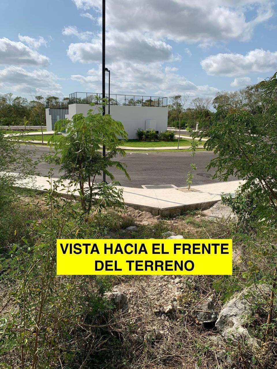 12 de 15