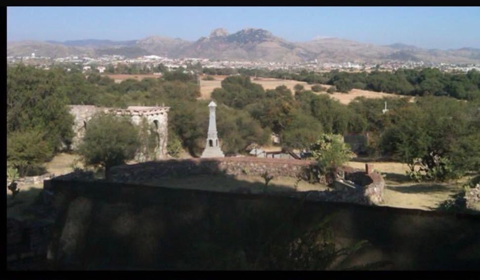 Imagen 8 de 10