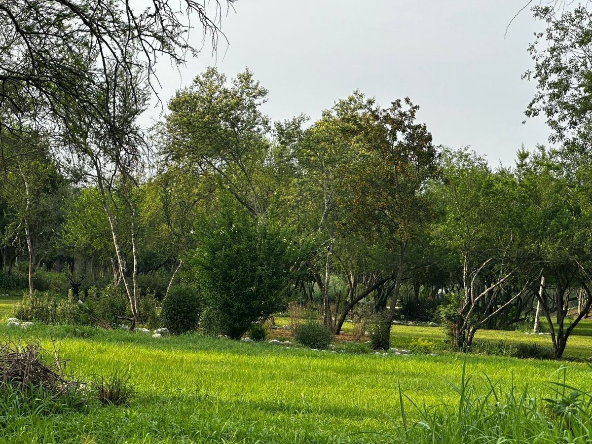 4 de 13: Areas comunes