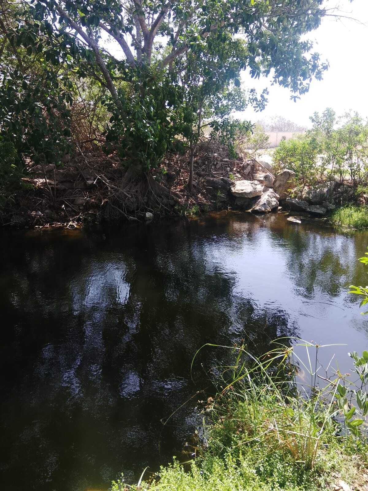 5 de 22