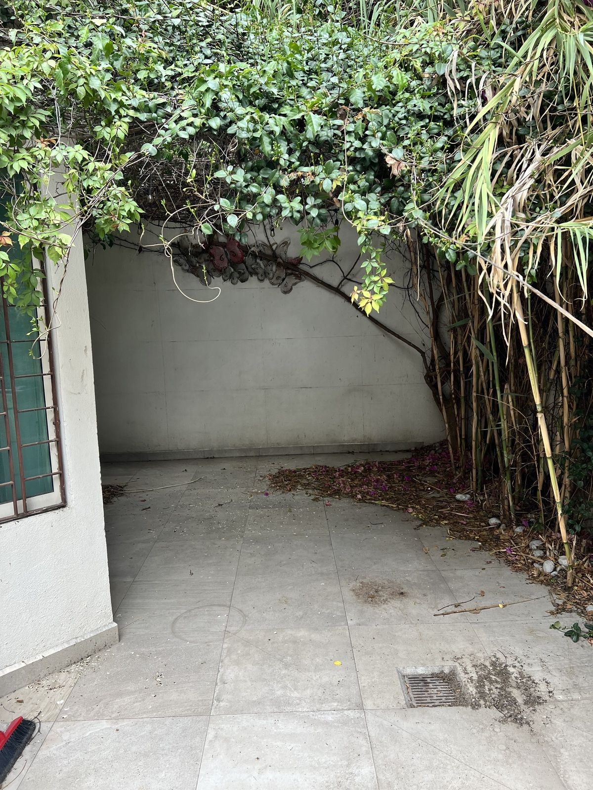 33 de 35: patio