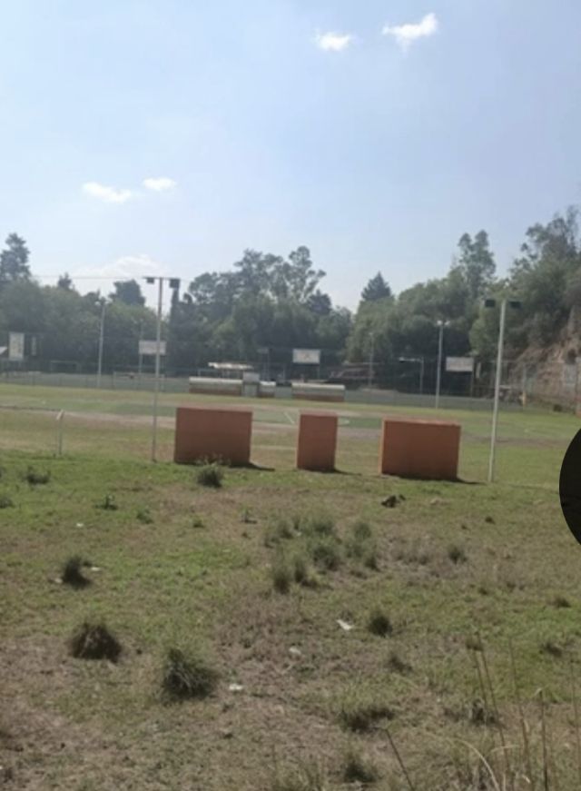 4 de 7