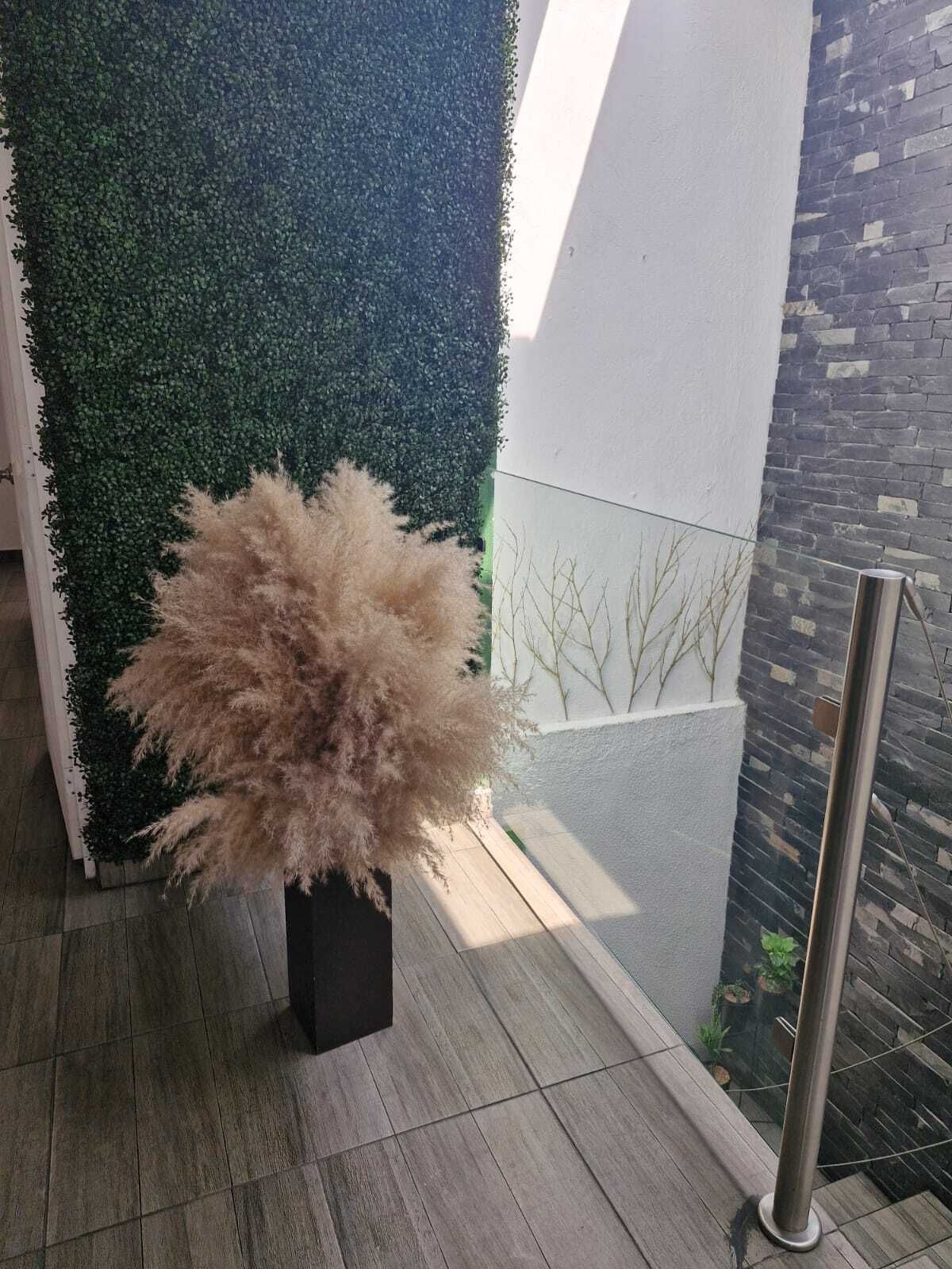 Venta de Casa de 2 Plantas en Paseos del Bosque, Corregidora