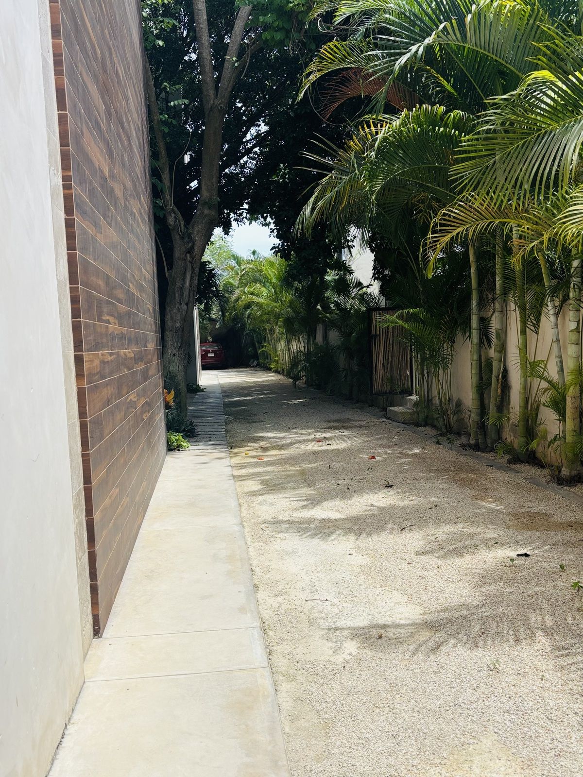 11 de 14
