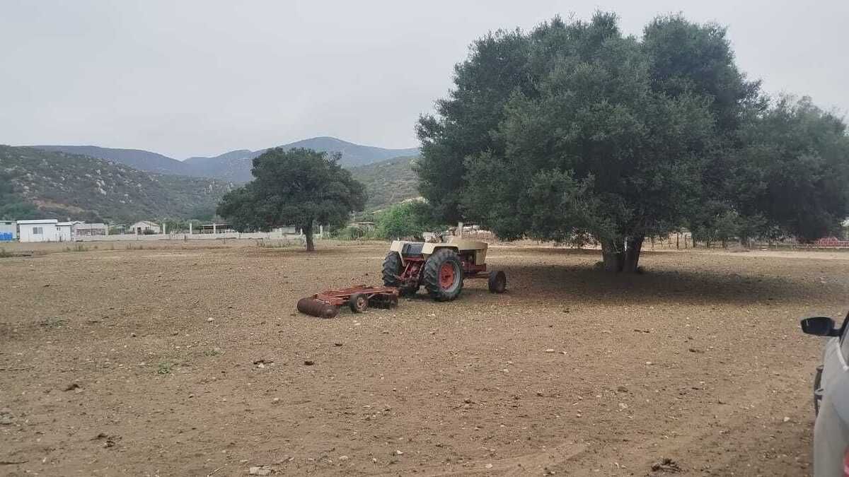 4 de 9