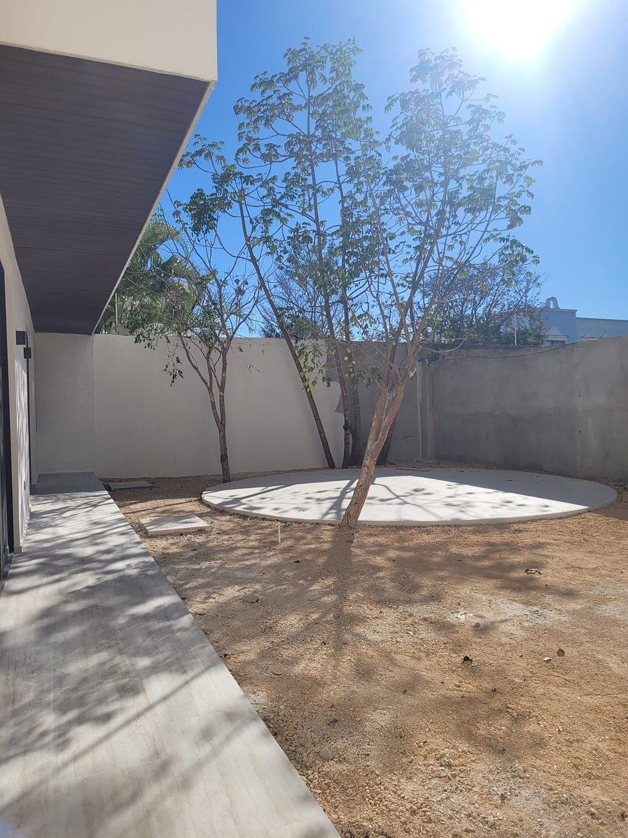 23 de 30: AVANCE 2026