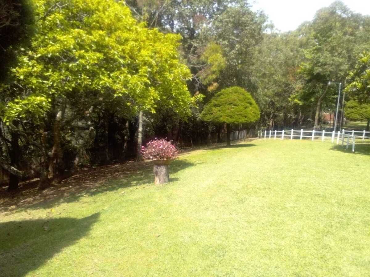 1 de 7