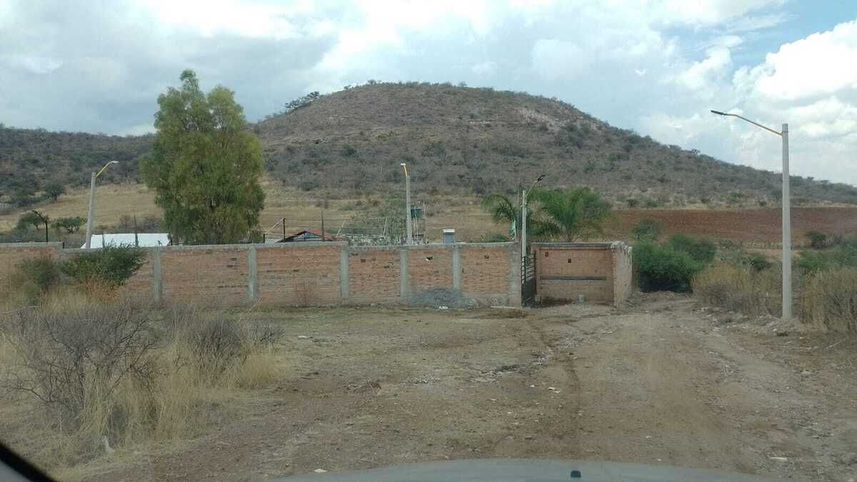 3 de 8