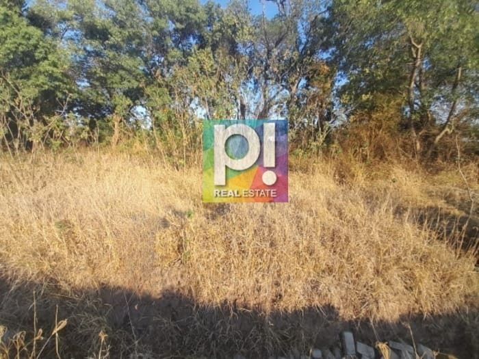 1 de 10