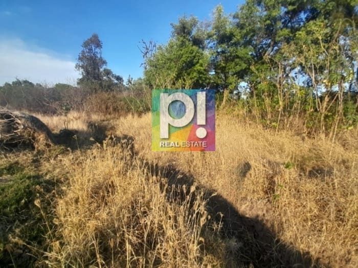2 de 10