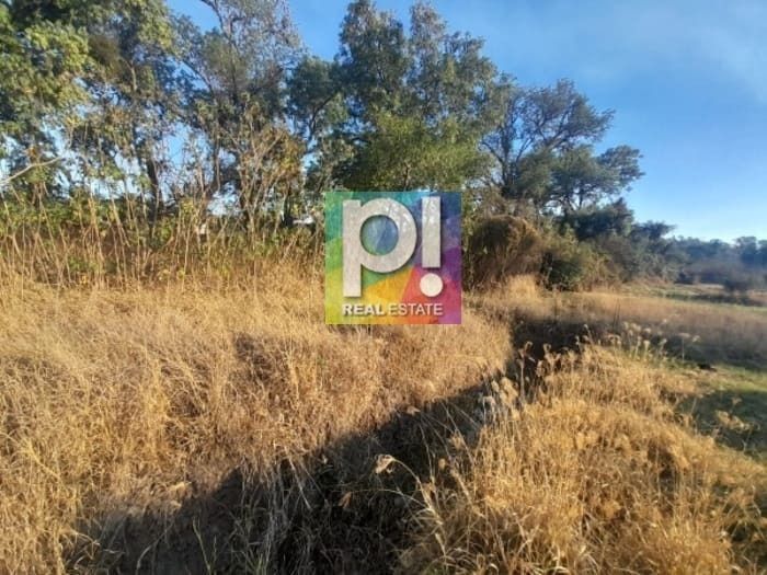 4 de 10