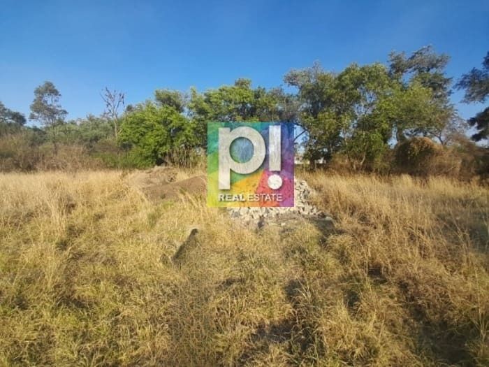 5 de 10