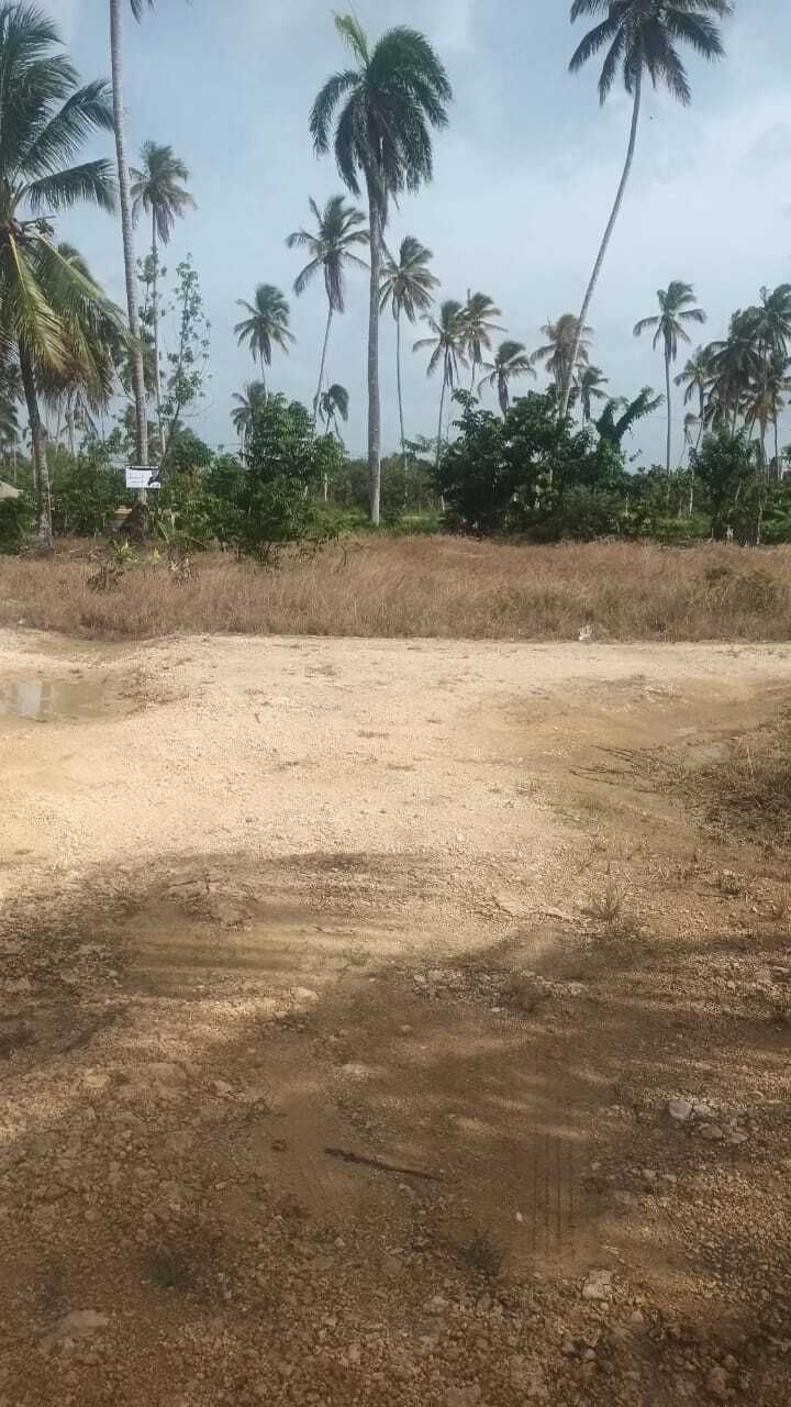 2 de 3