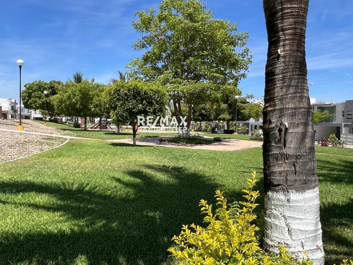 12 de 13
