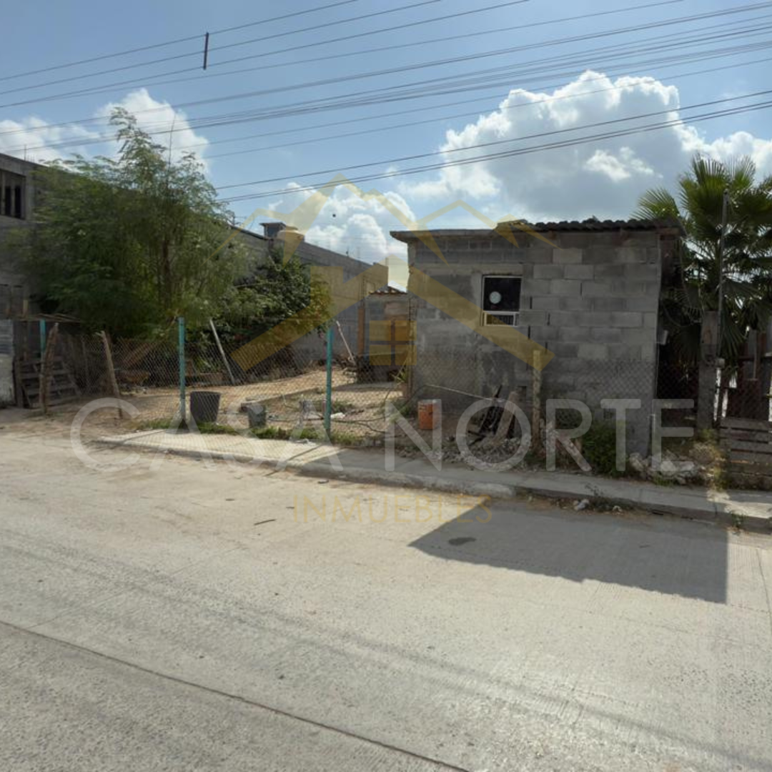 4 de 6
