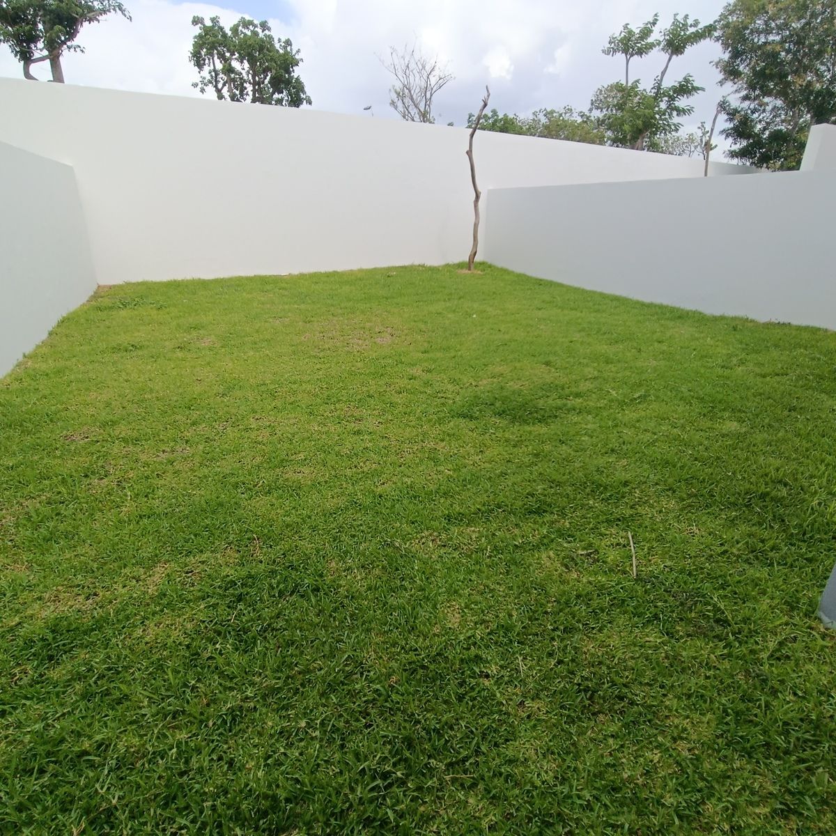 4 de 9: Patio