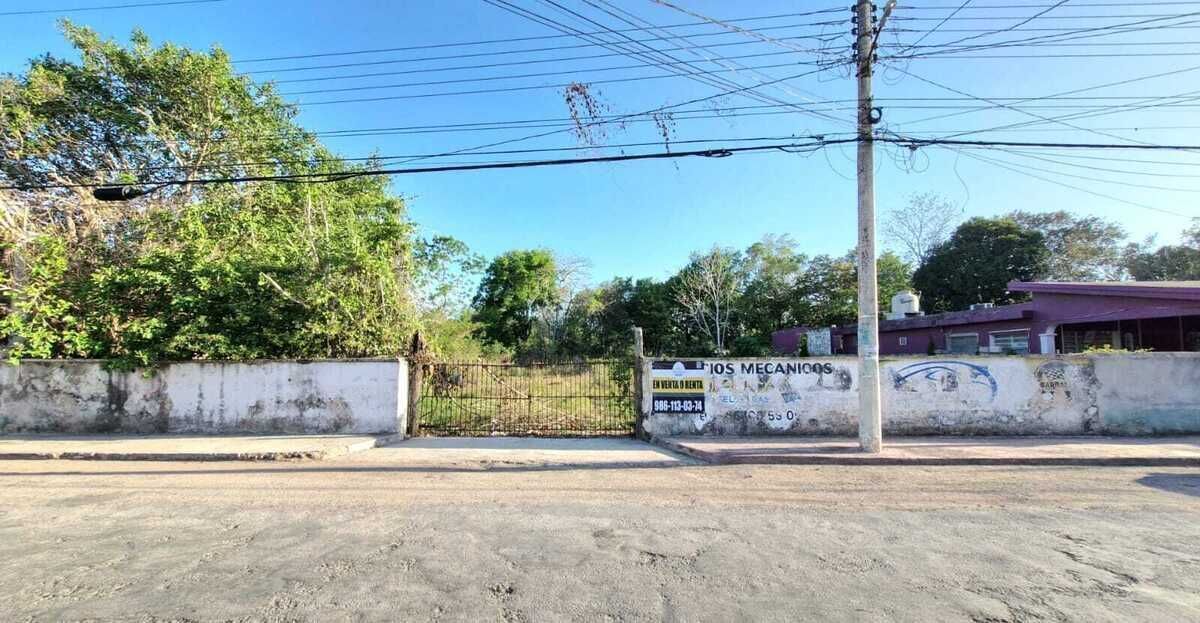 4 de 4