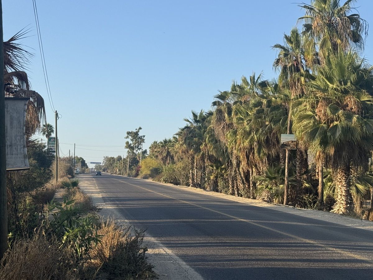 20 de 25: Acceso por carretera La Paz-Los Cabos
