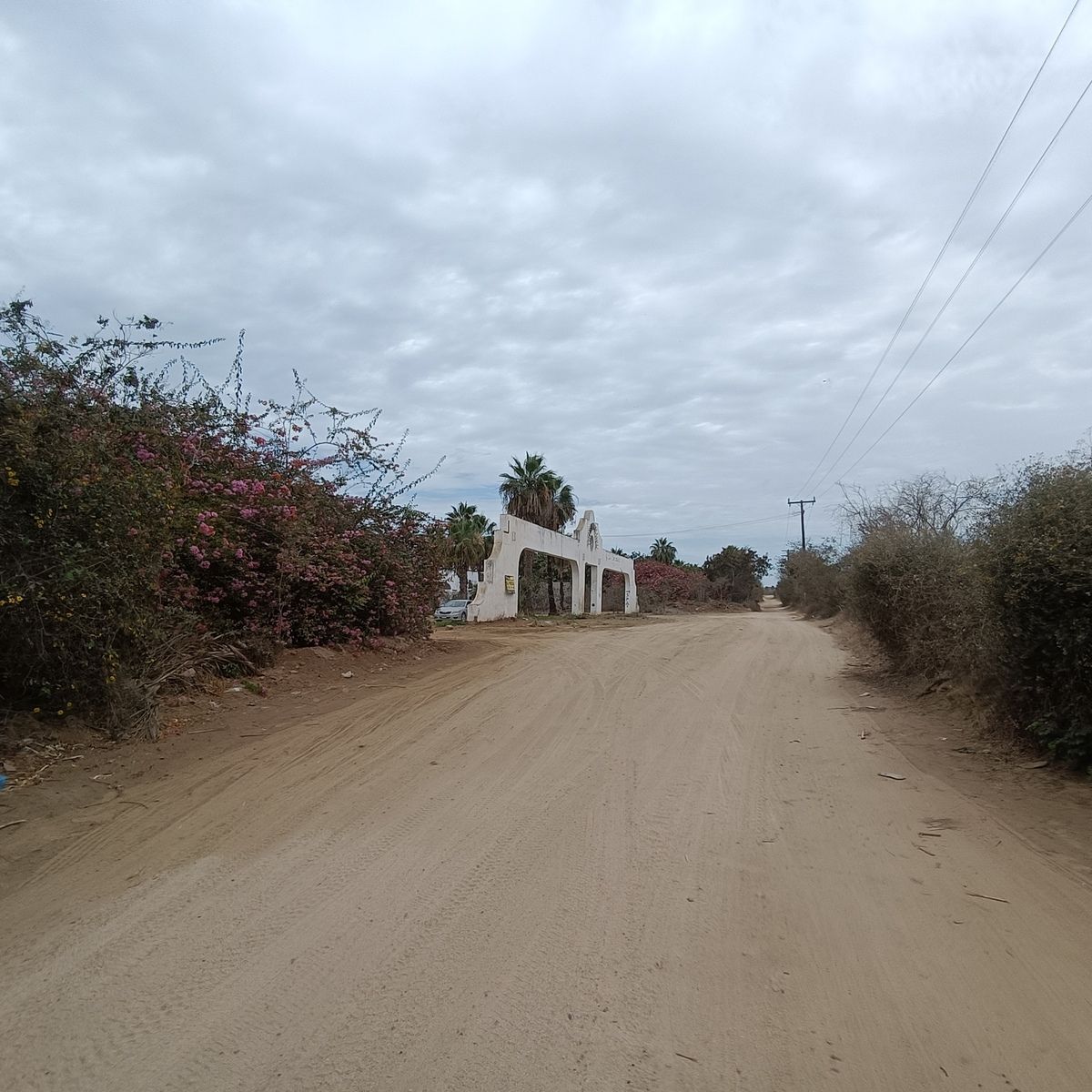 3 de 25: Terreno El Palmar