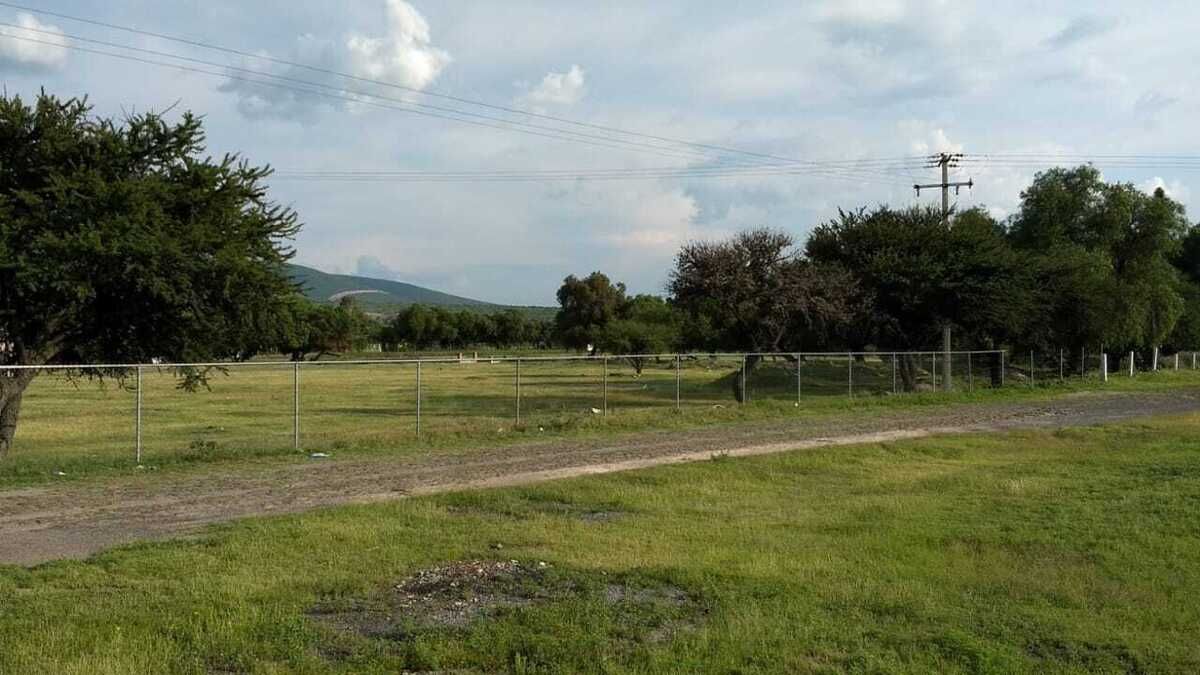Imagen 4 de 7