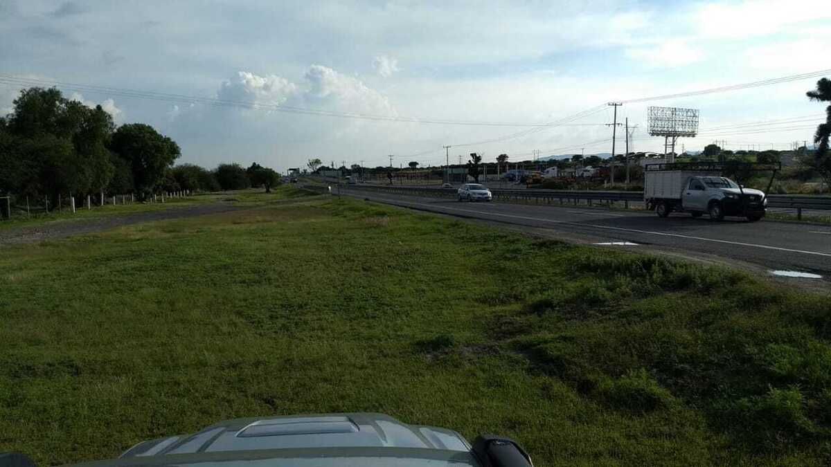 Imagen 5 de 7